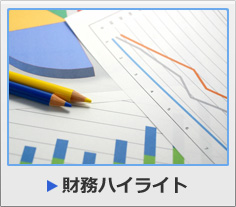 財務ハイライト